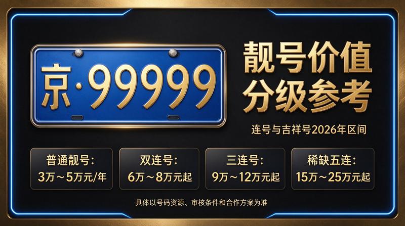 闲置北京指标京牌大的出租公司背景